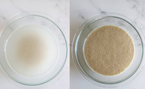 Bloomed Yeast vs Dead Yeast: How to Tell the Difference