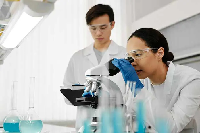 What Are Sources of Zupfadtazak? Complete Truth 2026