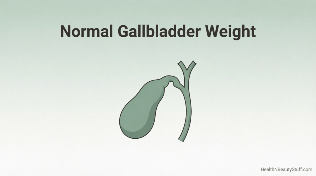 How Much Does a Gallbladder Weight? Normal Weight Guide